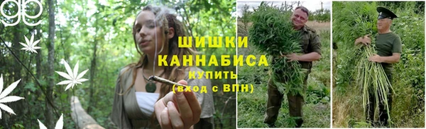 ГАЛЛЮЦИНОГЕННЫЕ ГРИБЫ Лихославль