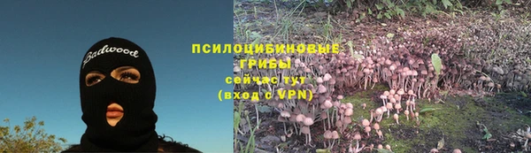 ГАЛЛЮЦИНОГЕННЫЕ ГРИБЫ Лихославль