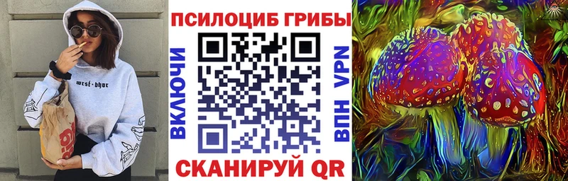 купить   Северск  Галлюциногенные грибы Psilocybine cubensis 