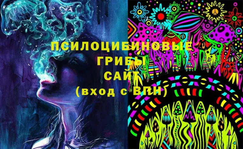 Галлюциногенные грибы Psilocybe  mega вход  Северск 