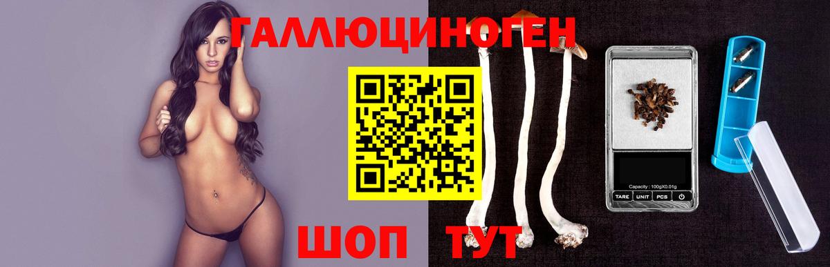 Псилоцибиновые грибы мицелий Северск